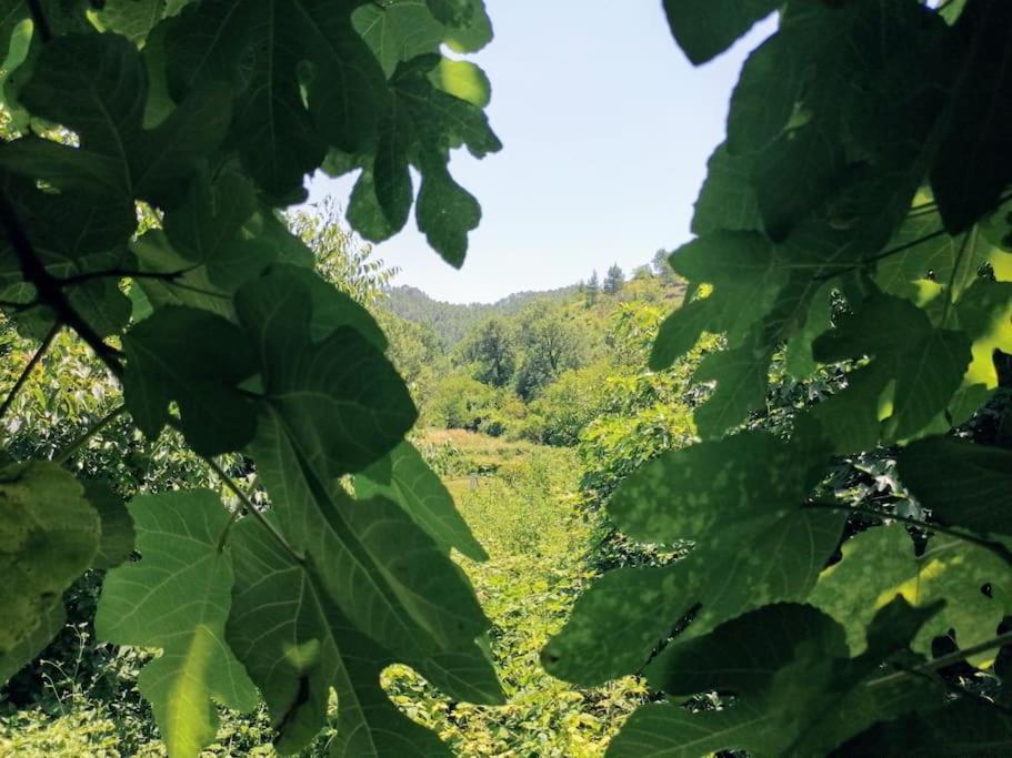 La Casirria Villa Olba Buitenkant foto